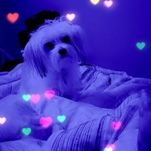 Meet your Posher, Kristina